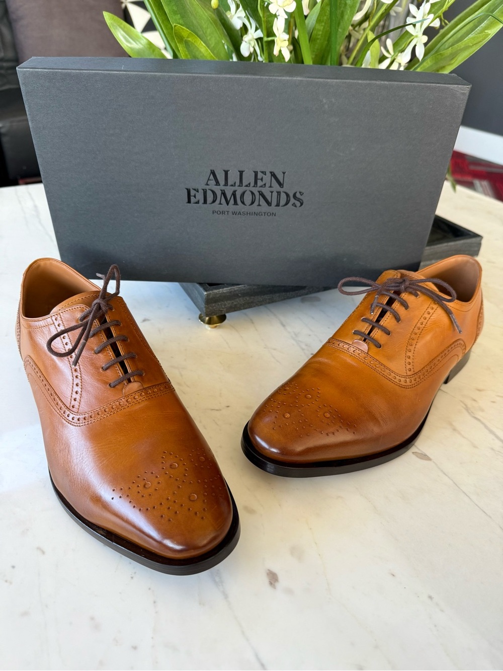 New Allen Edmonds Siena Medallion Oxford Dress Shoe Walnut Leather - Picture 4 of 15